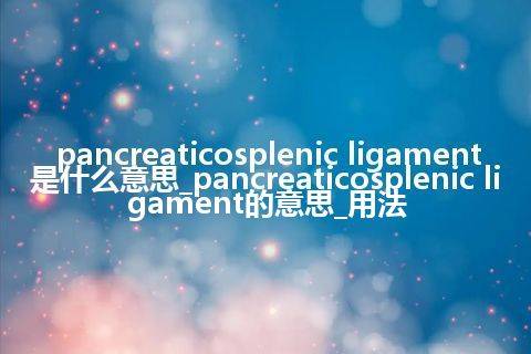 pancreaticosplenic ligament是什么意思_pancreaticosplenic ligament的意思_用法