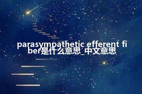 parasympathetic efferent fiber是什么意思_中文意思