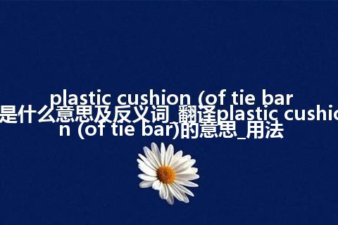 plastic cushion (of tie bar)是什么意思及反义词_翻译plastic cushion (of tie bar)的意思_用法
