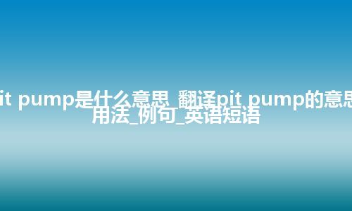 pit pump是什么意思_翻译pit pump的意思_用法_例句_英语短语