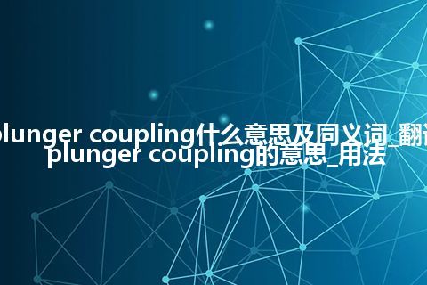 plunger coupling什么意思及同义词_翻译plunger coupling的意思_用法