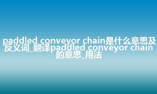 paddled conveyor chain是什么意思及反义词_翻译paddled conveyor chain的意思_用法