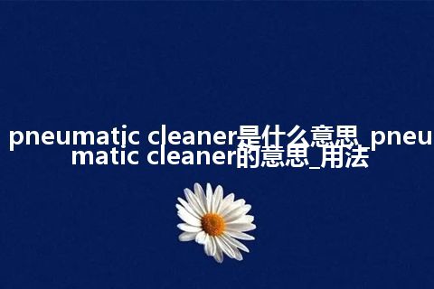 pneumatic cleaner是什么意思_pneumatic cleaner的意思_用法