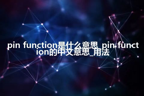 pin function是什么意思_pin function的中文意思_用法