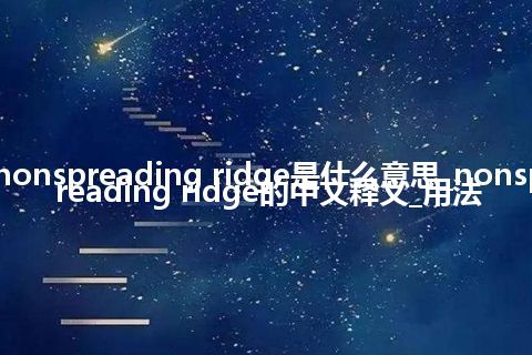 nonspreading ridge是什么意思_nonspreading ridge的中文释义_用法