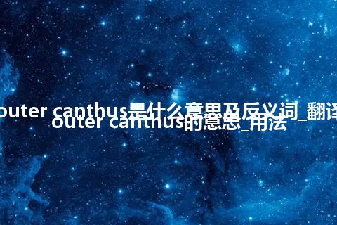 outer canthus是什么意思及反义词_翻译outer canthus的意思_用法