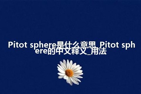 Pitot sphere是什么意思_Pitot sphere的中文释义_用法