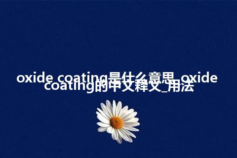 oxide coating是什么意思_oxide coating的中文释义_用法