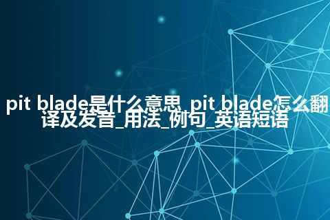 pit blade是什么意思_pit blade怎么翻译及发音_用法_例句_英语短语