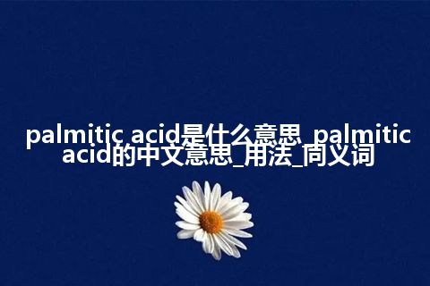 palmitic acid是什么意思_palmitic acid的中文意思_用法_同义词