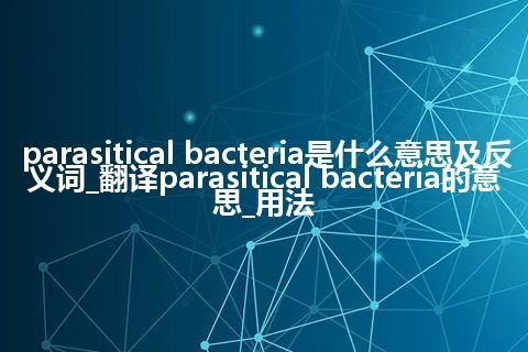 parasitical bacteria是什么意思及反义词_翻译parasitical bacteria的意思_用法