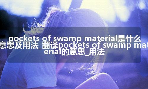 pockets of swamp material是什么意思及用法_翻译pockets of swamp material的意思_用法