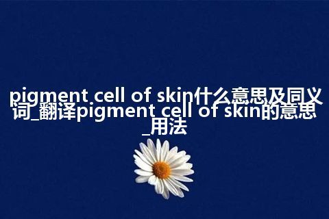 pigment cell of skin什么意思及同义词_翻译pigment cell of skin的意思_用法