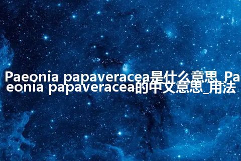 Paeonia papaveracea是什么意思_Paeonia papaveracea的中文意思_用法