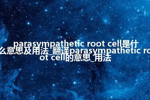 parasympathetic root cell是什么意思及用法_翻译parasympathetic root cell的意思_用法