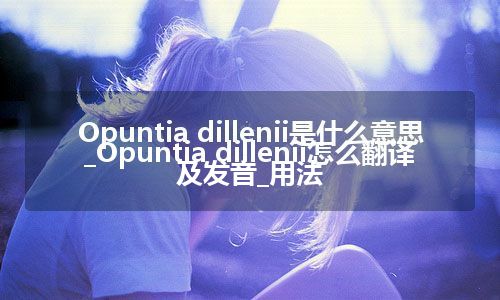 Opuntia dillenii是什么意思_Opuntia dillenii怎么翻译及发音_用法