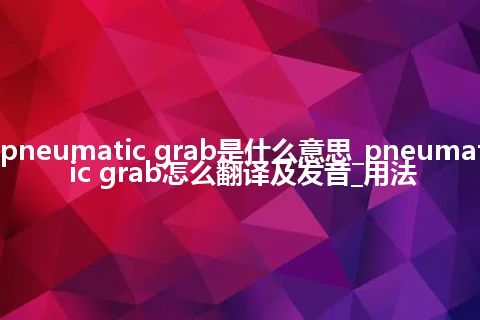 pneumatic grab是什么意思_pneumatic grab怎么翻译及发音_用法