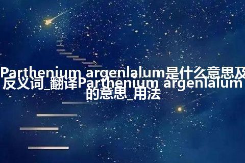 Parthenium argenlalum是什么意思及反义词_翻译Parthenium argenlalum的意思_用法
