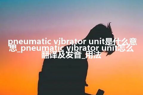 pneumatic vibrator unit是什么意思_pneumatic vibrator unit怎么翻译及发音_用法