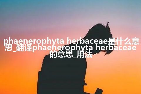 phaenerophyta herbaceae是什么意思_翻译phaenerophyta herbaceae的意思_用法