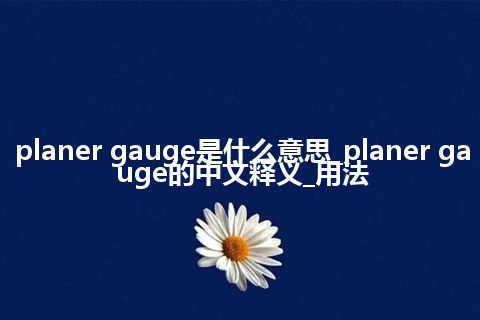 planer gauge是什么意思_planer gauge的中文释义_用法