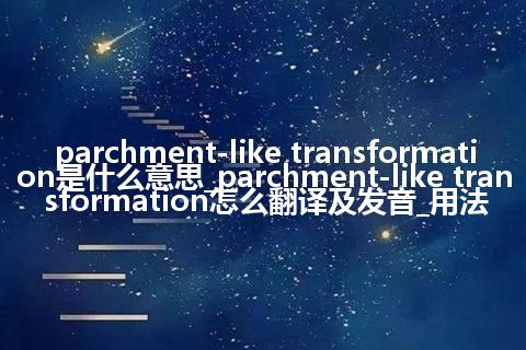 parchment-like transformation是什么意思_parchment-like transformation怎么翻译及发音_用法