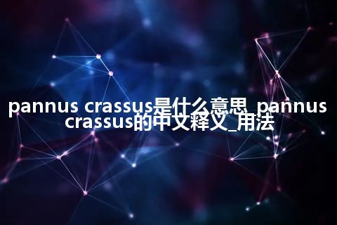 pannus crassus是什么意思_pannus crassus的中文释义_用法