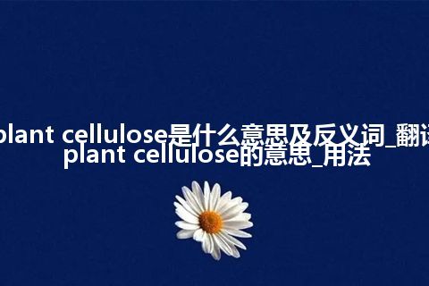 plant cellulose是什么意思及反义词_翻译plant cellulose的意思_用法