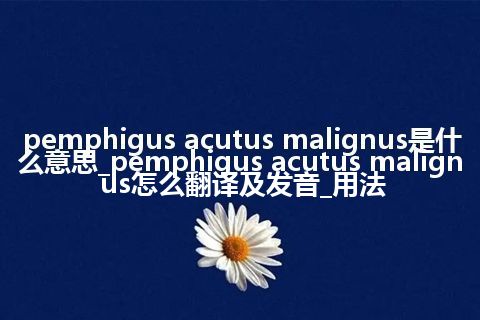 pemphigus acutus malignus是什么意思_pemphigus acutus malignus怎么翻译及发音_用法