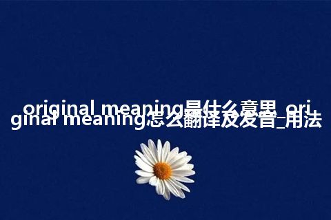 original meaning是什么意思_original meaning怎么翻译及发音_用法