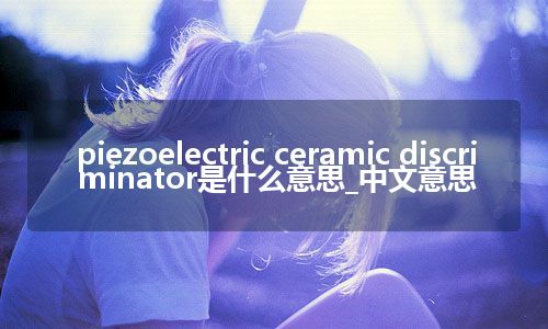 piezoelectric ceramic discriminator是什么意思_中文意思