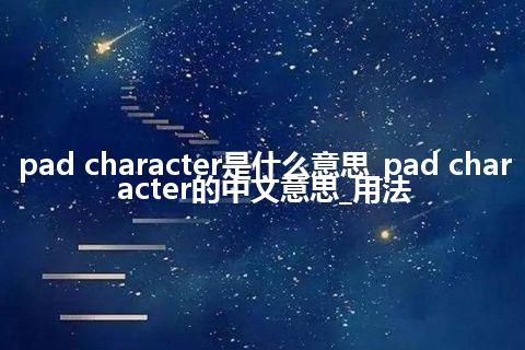 pad character是什么意思_pad character的中文意思_用法
