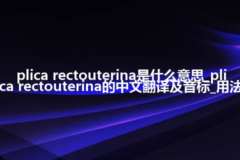 plica rectouterina是什么意思_plica rectouterina的中文翻译及音标_用法