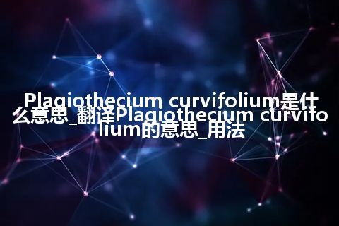 Plagiothecium curvifolium是什么意思_翻译Plagiothecium curvifolium的意思_用法