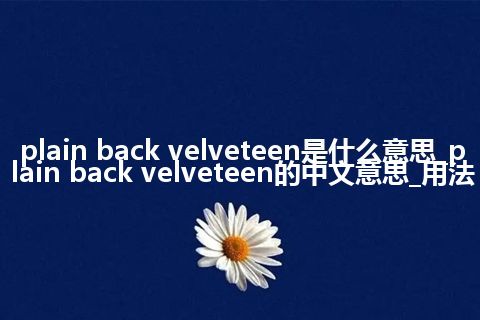 plain back velveteen是什么意思_plain back velveteen的中文意思_用法