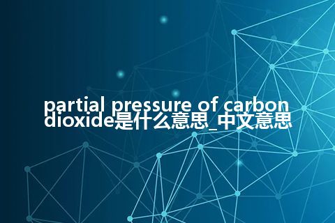 partial pressure of carbon dioxide是什么意思_中文意思