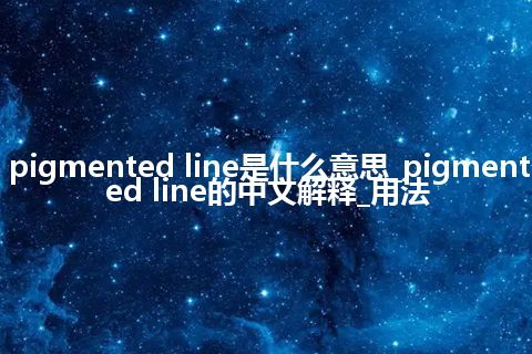 pigmented line是什么意思_pigmented line的中文解释_用法