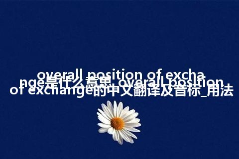 overall position of exchange是什么意思_overall position of exchange的中文翻译及音标_用法