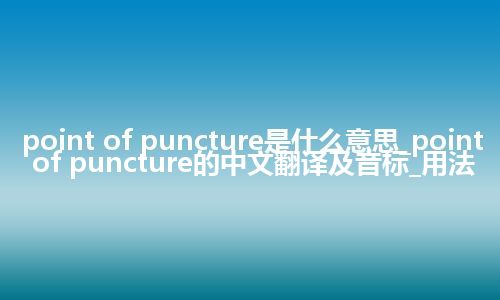 point of puncture是什么意思_point of puncture的中文翻译及音标_用法
