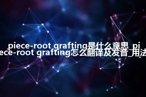 piece-root grafting是什么意思_piece-root grafting怎么翻译及发音_用法