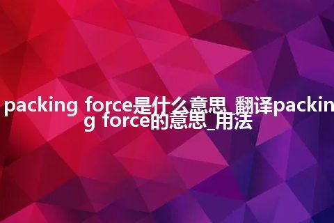 packing force是什么意思_翻译packing force的意思_用法