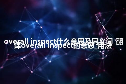 overall inspect什么意思及同义词_翻译overall inspect的意思_用法