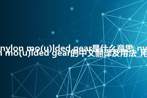 nylon mo(u)lded gear是什么意思_nylon mo(u)lded gear的中文翻译及用法_用法