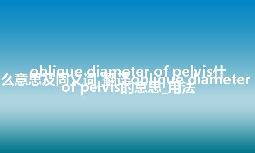 oblique diameter of pelvis什么意思及同义词_翻译oblique diameter of pelvis的意思_用法