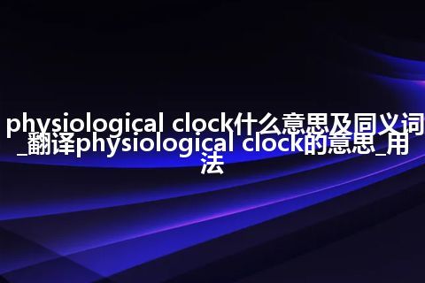 physiological clock什么意思及同义词_翻译physiological clock的意思_用法