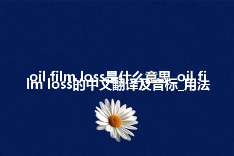 oil film loss是什么意思_oil film loss的中文翻译及音标_用法