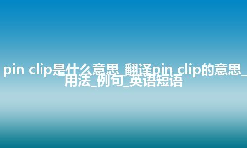 pin clip是什么意思_翻译pin clip的意思_用法_例句_英语短语