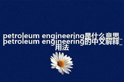 petroleum engineering是什么意思_petroleum engineering的中文解释_用法