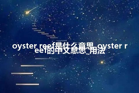 oyster reef是什么意思_oyster reef的中文意思_用法