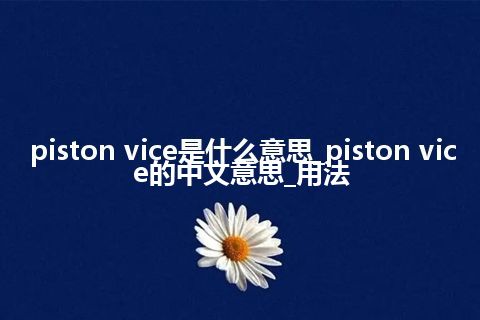 piston vice是什么意思_piston vice的中文意思_用法